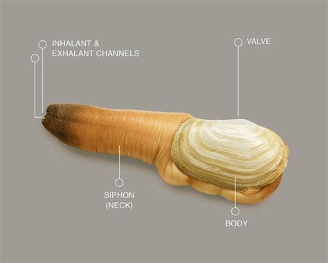 Bioblas, the first brand of shampoo and hair care products when it comes to. VIDEO Życzymy smacznego - Sadistic.pl