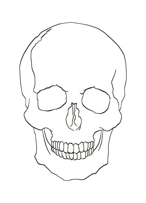 Skulls Drawing Line Drawing Drawings