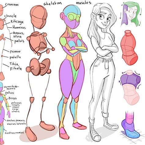 Mitch Leeuwe On Instagram I M Using Basic Anatomy For My Drawings I