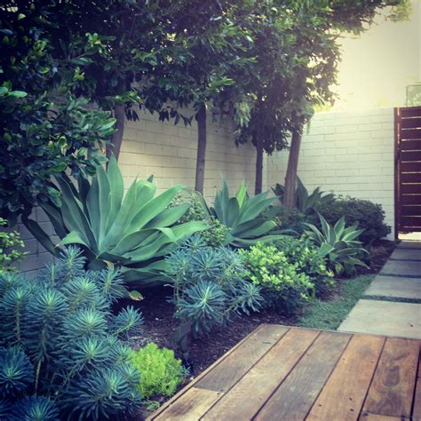 Plants home flowers annuals perennials shrubs bulbs vines succulents grasses trees vegetables houseplants native plants roses lavender hydrangeas. pour couloir face a la porte d'entree. Succulents and structural plants, hardscapes, landscape ...