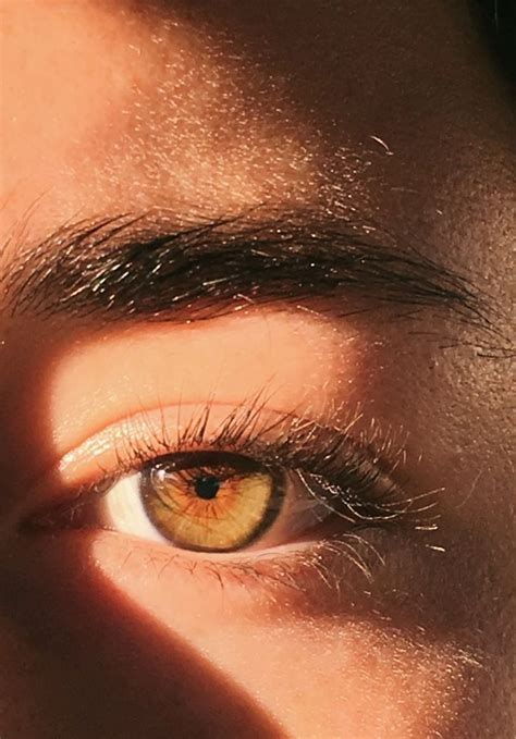 Pin By Wika On Everything And Nothing Brown Eyes Aesthetic Beautiful