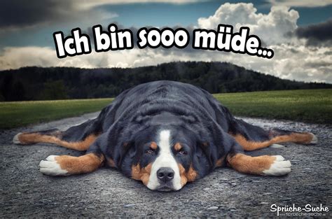 Ich bin sooo müde... | Coole Sprüche mit Bildern | Dogs, Lazy dog, Animals