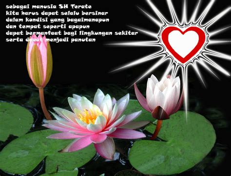 Berikan arti dan pemikiran baru dalam persahabatan indahmu. Motivasi Diri: Persaudaraan Setia Hati Terate