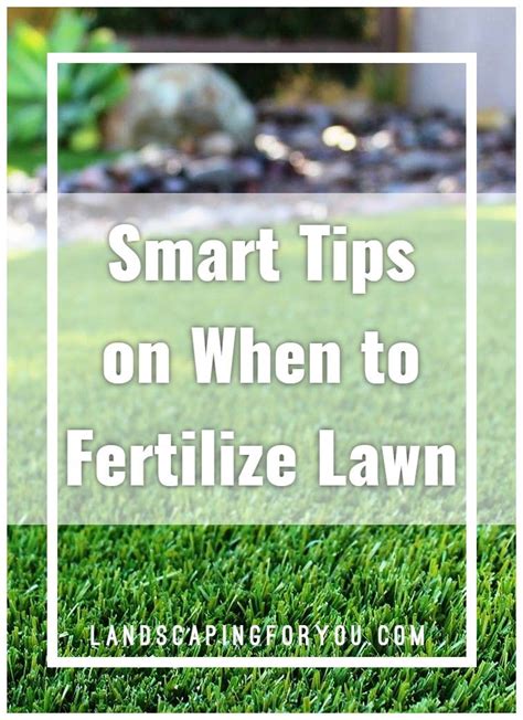 The Secrets You Have To Know When And How To Fertilize Lawn Be