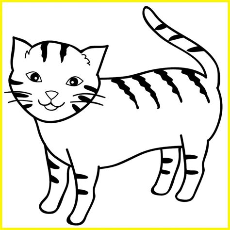 Sketsa Gambar Kucing Yang Mudah
