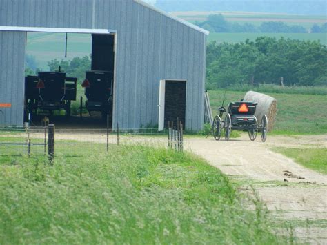 Amish Farm Cashton Wi Photo By Vannetta Chapman Amish Farm Amish