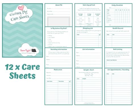 Guinea Pig Care Sheets And Checklists For Beginners Bundle Of Etsy