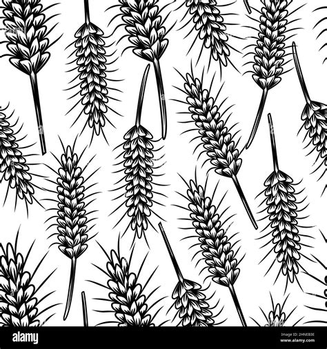 Vintage Sketch With Wheat Seamless Pattern Wheat Rice Oat Barley