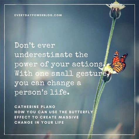 How To Use The Butterfly Effect To Create Massive Change In Your Life