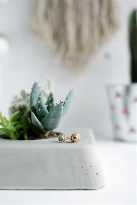 Learn how to make diy concrete succulent planters using makers mix. DIY Concrete Succulent Planter