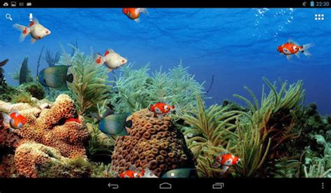 Live Aquarium Screensaver Free Download