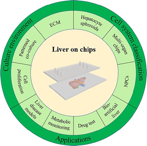 Recent Advances In Liver‐on‐chips Design Fabrication And