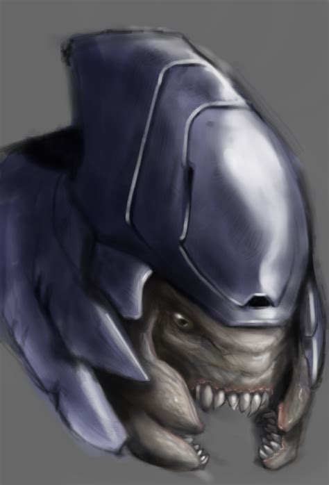 Elite head study (Halo) by Daniel2552 on DeviantArt