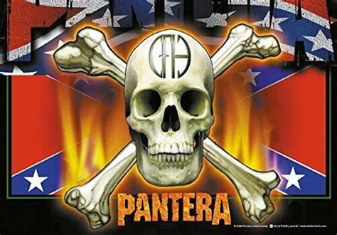 Pantera Flag And Skull Flag Fabric 29 12x43 516in Heart Rock