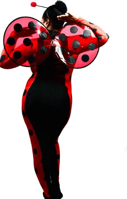 Luscious Ladybug Womens Costume