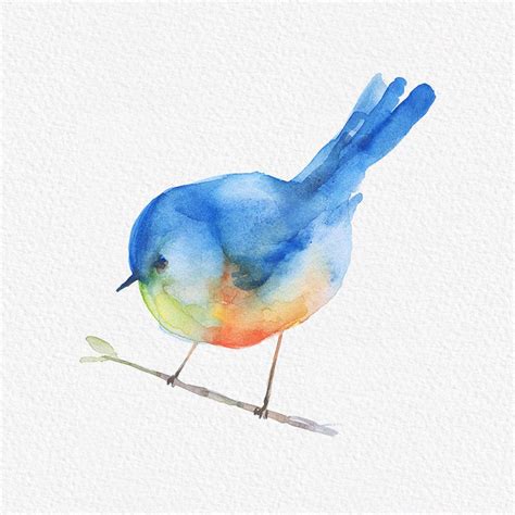 Free Blue Sparrow Bird Watercolor Clipart Png Gogivo
