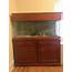 55 Gallon Wood Fish Tank With Canopy Used Condition For Sale In Queens 