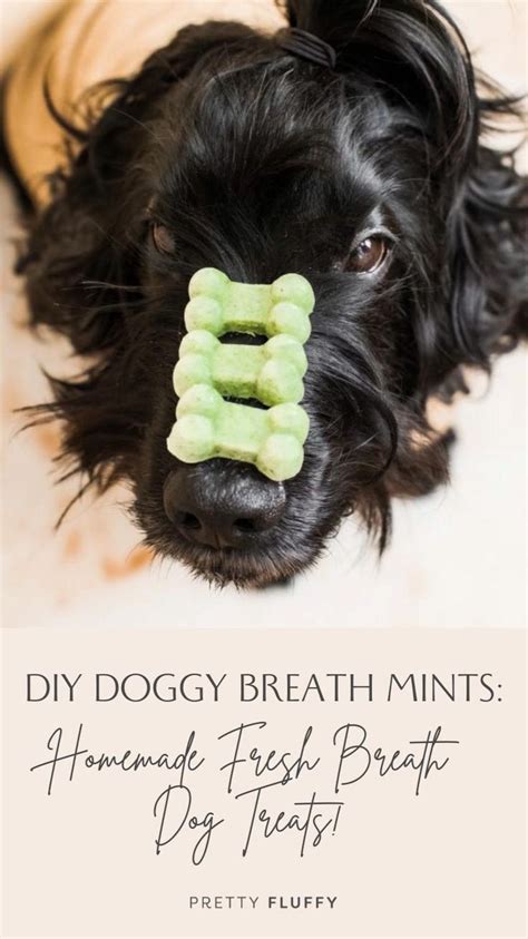 Diy Doggy Breath Mints Homemade Fresh Breath Dog Treats Dog Treats