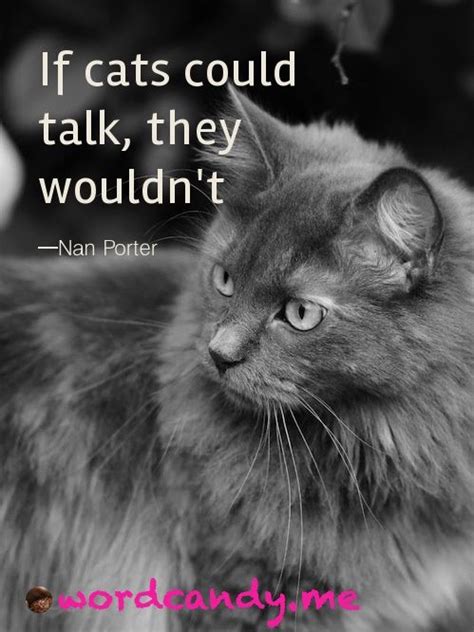 If Cats Could Talk They Wouldnt Photo By Susan Etole Cat Quotes
