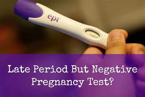 Can Bv Cause A False Negative Pregnancy Test Pregnancywalls
