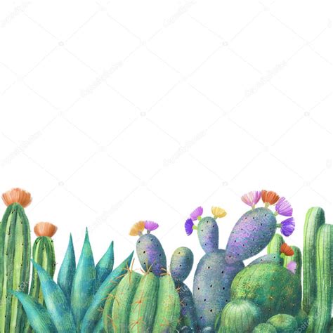 Cute Cactus Border Cute Colorful Cactus Border Banner Template