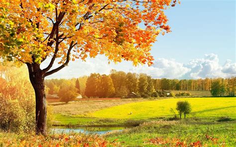 Sunny Autumn Landscape Wallpapers Wallpaper Cave