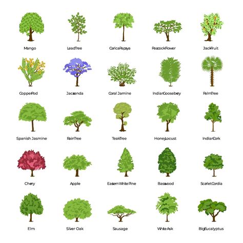 Different Types Of Trees 2168918 Vector Art At Vecteezy