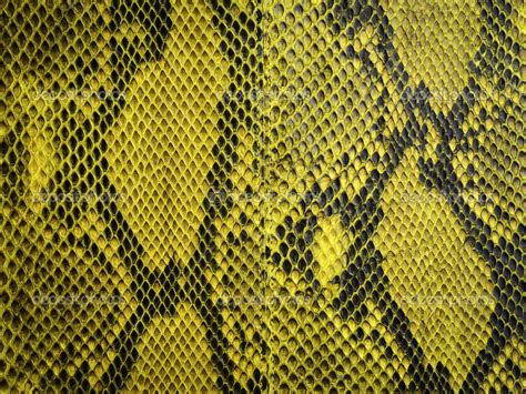 Snake Skin With The Pattern Stock Photo By ©jayjaynaenae 27964925