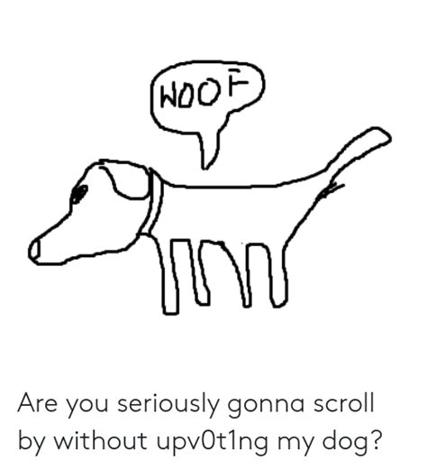 Hoof Are You Seriously Gonna Scroll By Without Upv0t1ng My Dog Dog