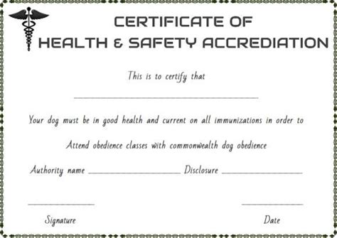 Pet Health Certificate Template Word Certificate Templates