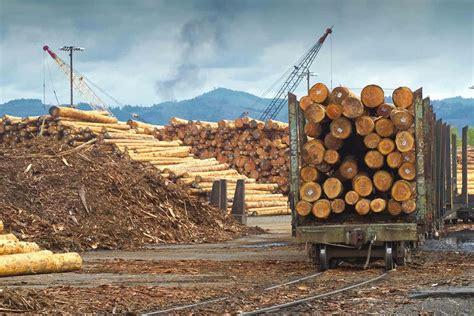 Logging Industry