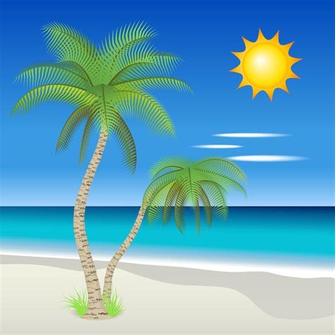 Premium Vector Vector Illustration Of Palm Trees On A Tropical Beach