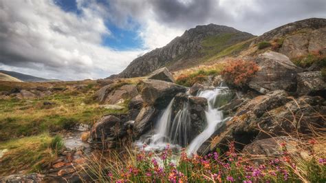 Landscape View Of Mountain Peak Waterfalls Stream Colorful Flowers