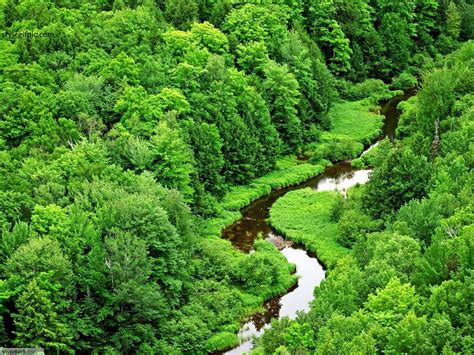 Most Beautiful Green Nature Wallpapers In The World Green Nature