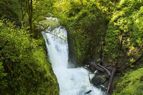 Middle Oneonta Falls Oregon Oregon Waterfalls Scenic Waterfall