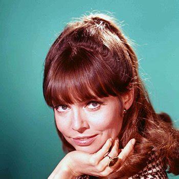 Frequently Asked Questions About Barbara Feldon BabesFAQ Com