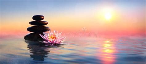 Zen Concept Spa Stones And Waterlily Stock Image Image Of Mind Tranquility 120668649