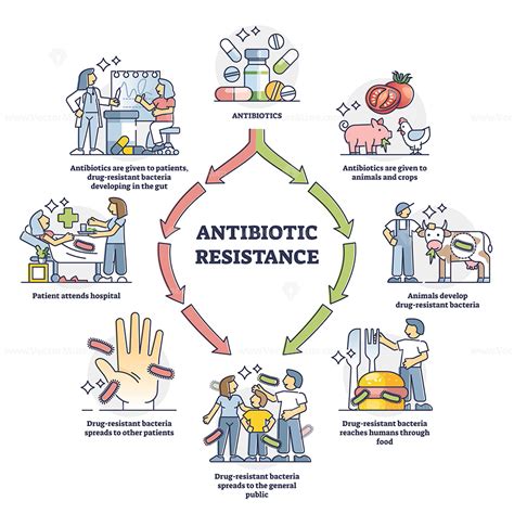 Antibiotic Resistance Development In Everyday Life Illustrated Outline Diagram Vectormine