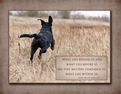Inspirational Quotes About Hunting Quotesgram