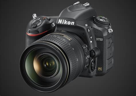 Best Nikon Dslr Camera For Beginners - Beginner Camera
