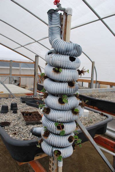 Aquaponic Strawberry Tower Vertical Gardens Vertical Gardens Herbs Garden Drying Herbs Trellis