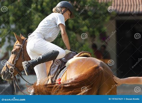 Woman Trying To Mount Horse Stock Image Image Of Beautiful Female