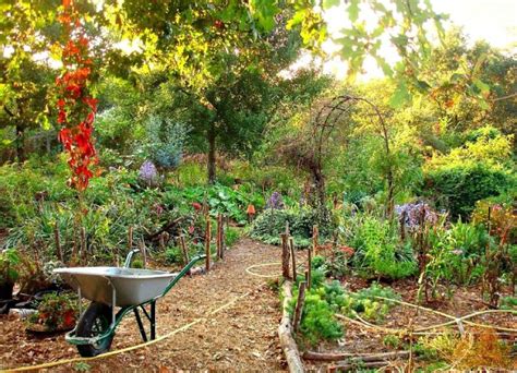 What Is Permaculture Gardening An Intro To Permaculture