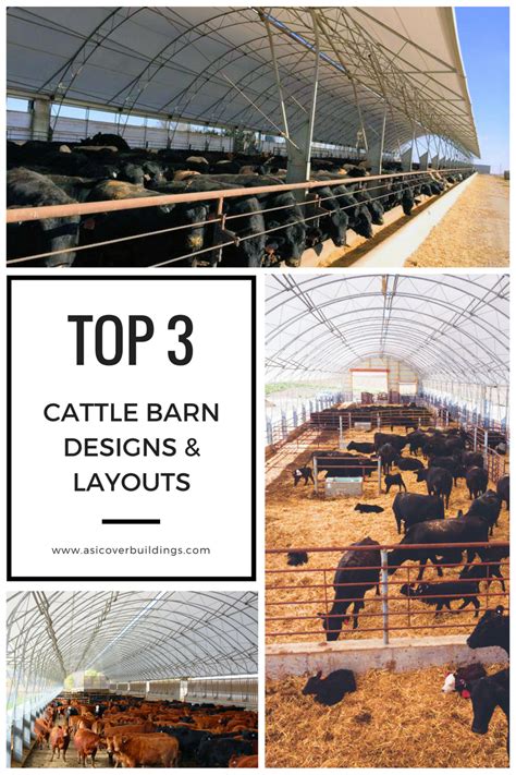 When It Comes To Building A Cattle Barn Its Important To Provide A