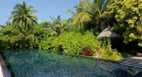 Coral Glass Naladhu Private Island Book An Entire Luxury Island In