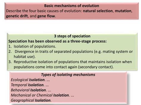 Mechanism Of Speciation