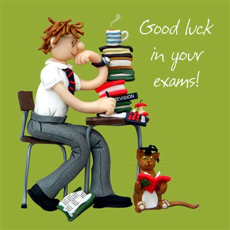 Good Luck In Your Exams Greeting Card One Lump Or Two Cards Love Kates
