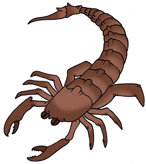 Clipart Of Scorpion 10 Free Cliparts Download Images On Clipground 2023