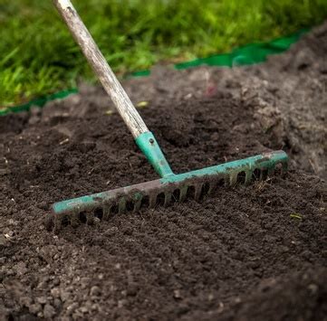 This will make it easy for you to clear the area to prepare the plot for planting. Growing Herbs from Seed - a Guide to Success