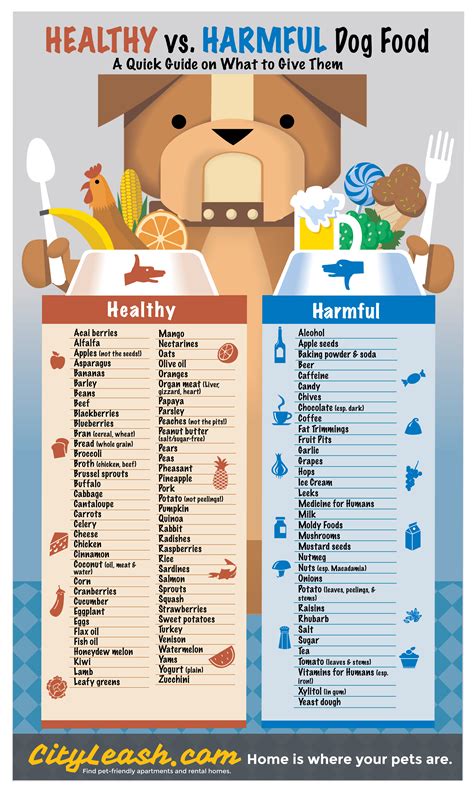 Chart Of Foods Dogs Can Eat
